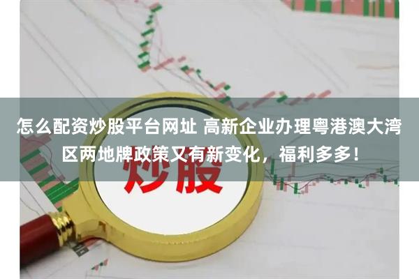 怎么配资炒股平台网址 高新企业办理粤港澳大湾区两地牌政策又有新变化，福利多多！